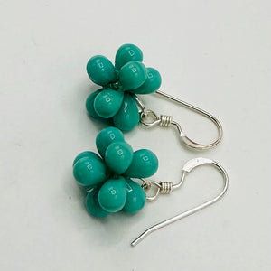 Tami Earrings in Shiny Turquoise